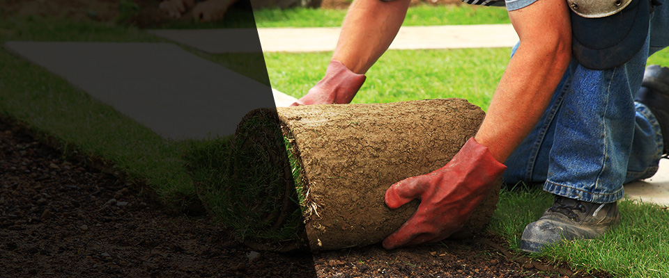 Clay City Landscapers